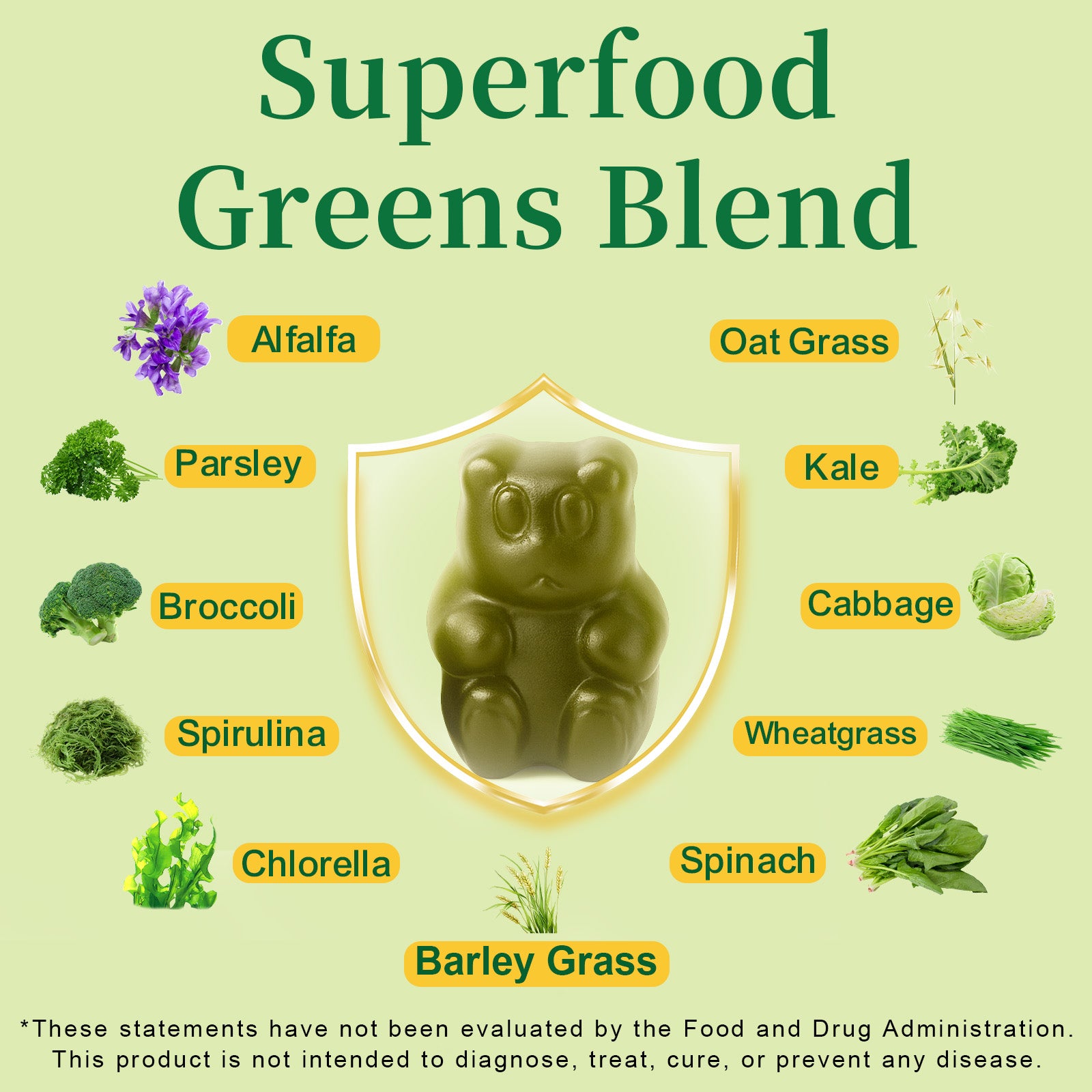 VitalXtra Sugar Free Super Greens Daily Gummy Bears 15 Pack, Fruits Veggies Supplement for Immunity Gut Health & Natural Energy Boost